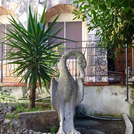 Villa Merina Vieste Exteriér fotografie